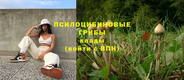 гидропоника Верхний Тагил