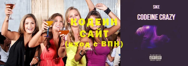 соль ск Тайга