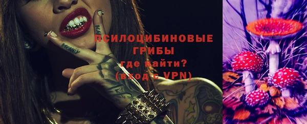 ешки Верея