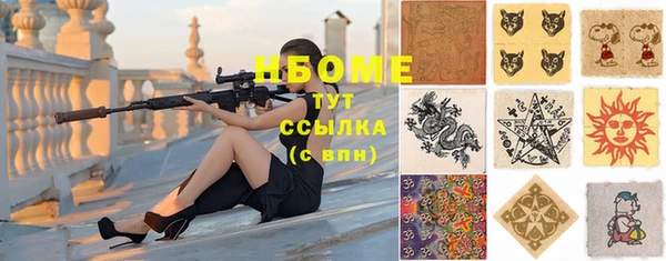 соль ск Тайга