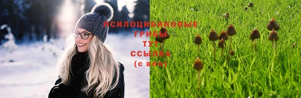 марки nbome Тавда